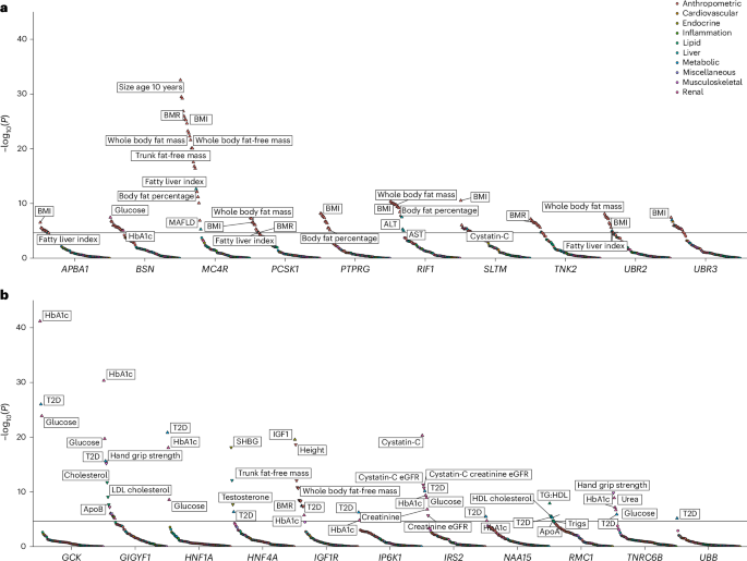 Fig. 3: PheWAS of BMI and T2D associated genes in UKBB.