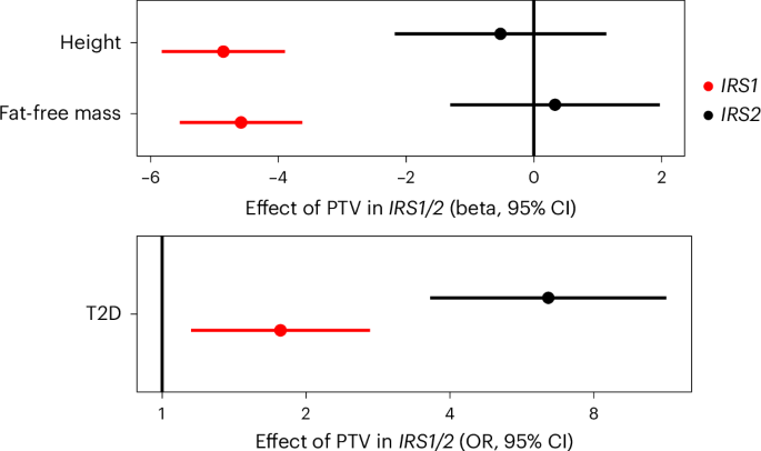 Fig. 5: Genetic evidence for functional heterogeneity of insulin receptor substrates in humans.