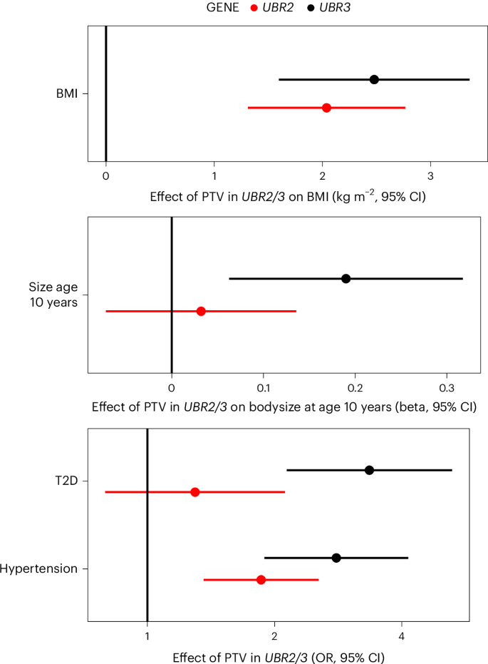Fig. 6: Effects of PTVs in UBR2 and UBR3 on adiposity and cardiometabolic health.
