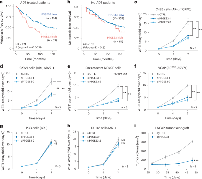 Fig. 6: PTGES3 is a potential therapeutic target for AR-directed therapy resistant PCa.