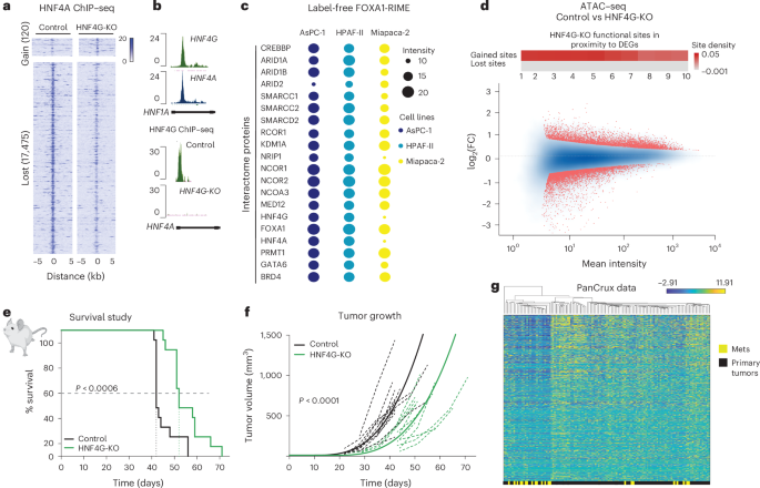 Fig. 2: Validation of HNF4G as a therapeutic target.