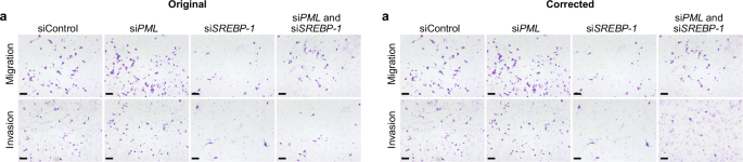 Fig. 1: Original and corrected Fig. 6a.