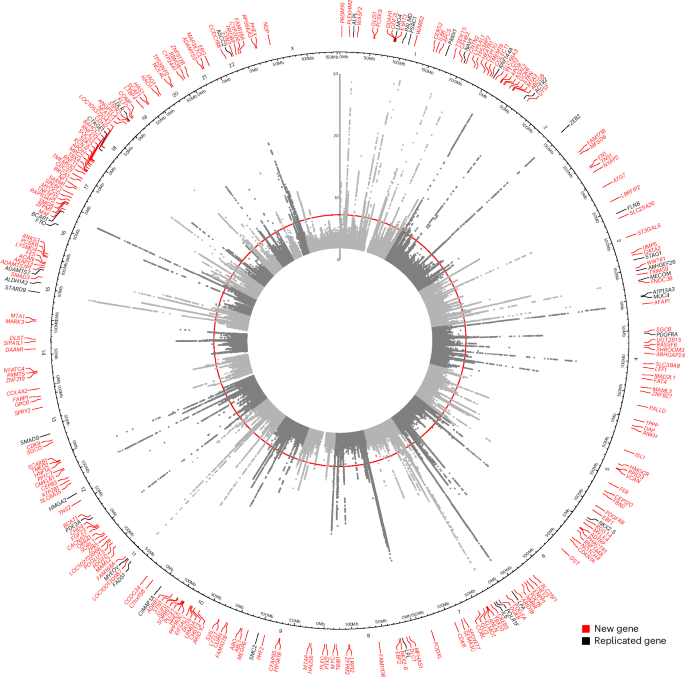 Fig. 1: Circos plot of multi-ancestry AS GWAS.