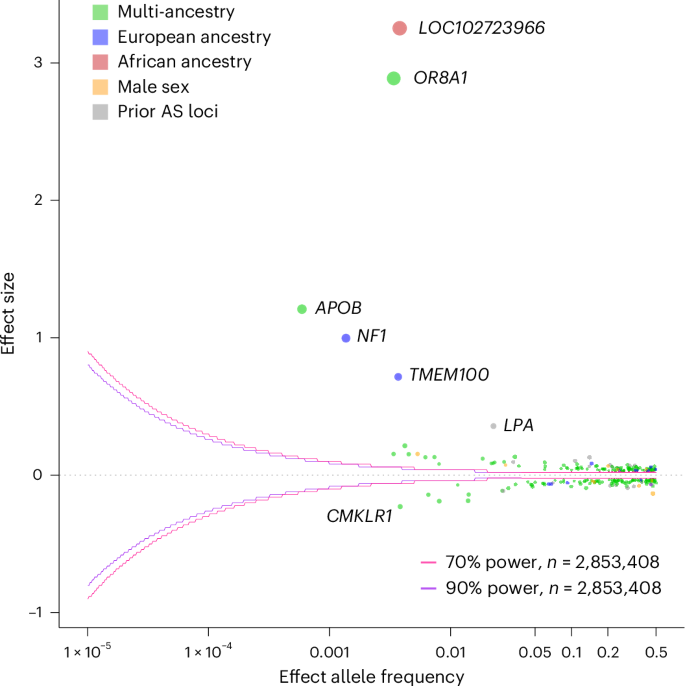 Fig. 2: Trumpet plot of lead variants in multi-ancestry as well as ancestry-stratified and sex-stratified AS GWASs.
