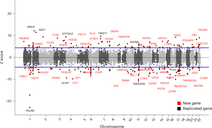 Fig. 3: Manhattan plot of TWAS using human AV eQTLs.