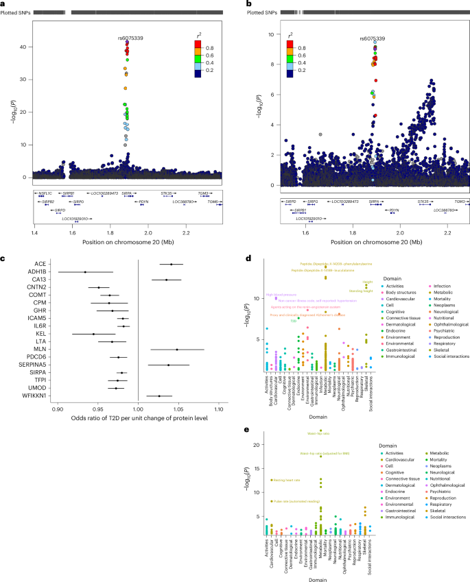 Fig. 4: LocusZoom plots of the colocalizing SIRPα pQTL and T2D risk variant.