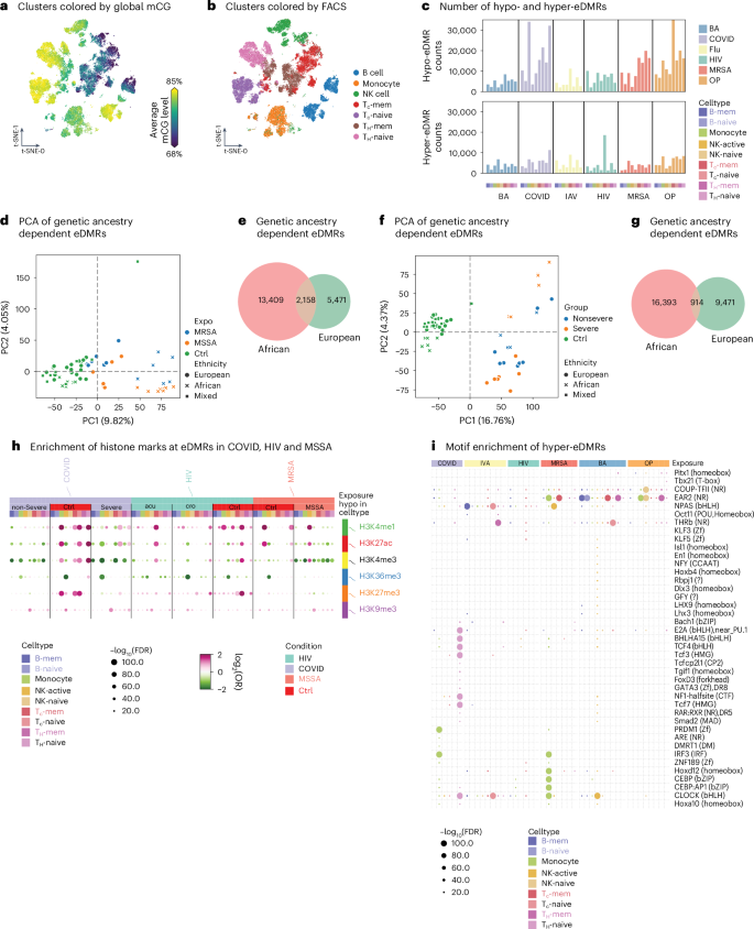 Fig. 3: Identification of eDMRs and their features.
