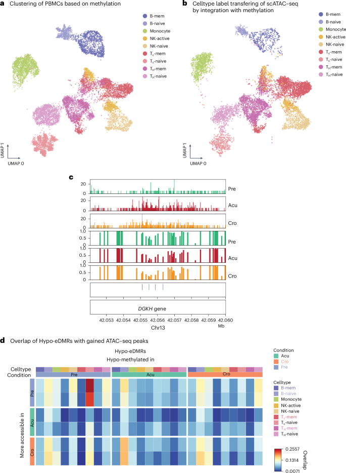 Fig. 4: Consistent changes in DNA methylation and chromatin accessibility in HIV exposure.