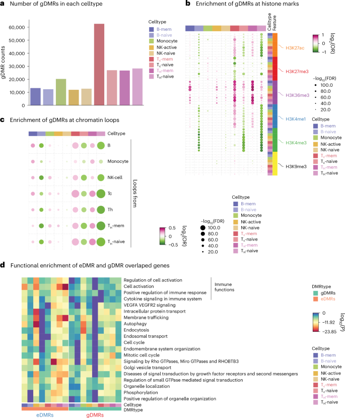 Fig. 5: Identification of gDMRs and their features.