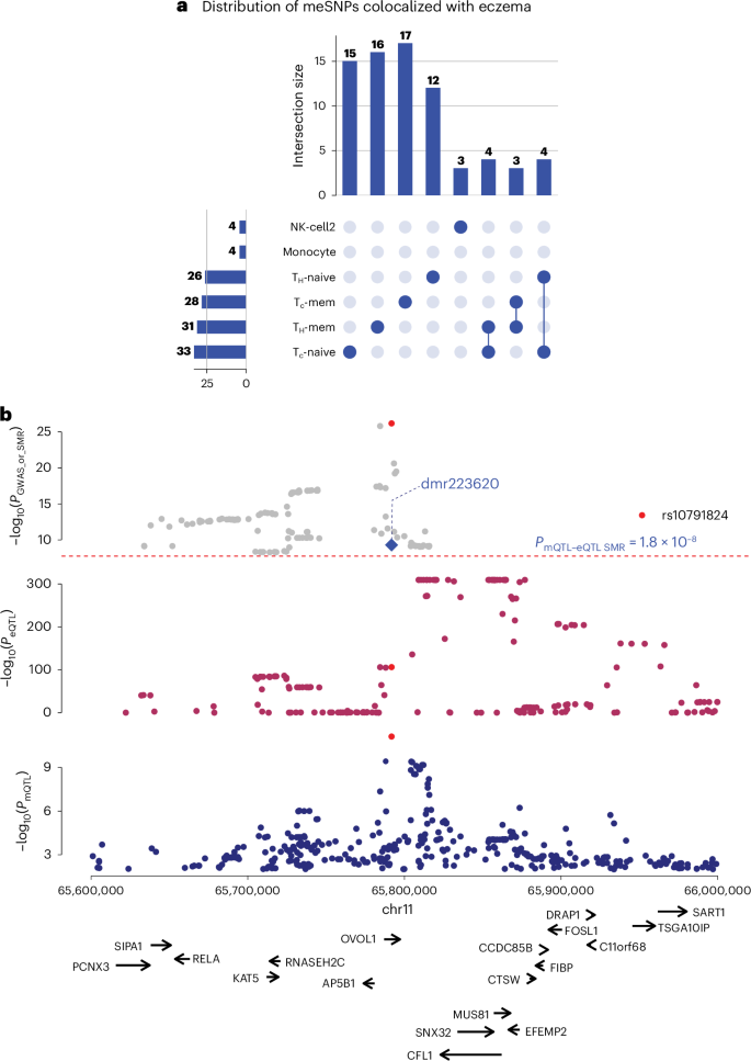 Fig. 6: Colocalization of gDMRs with immune-related disease (eczema) GWAS SNPs.