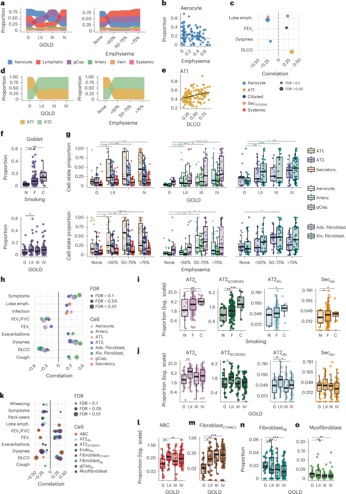 Fig. 2: Associations between nonimmune cells and cell states with clinical traits in COPD.