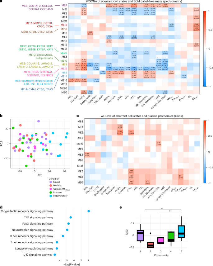 Fig. 6: Proteomic profiling of matched ECM and plasma samples.