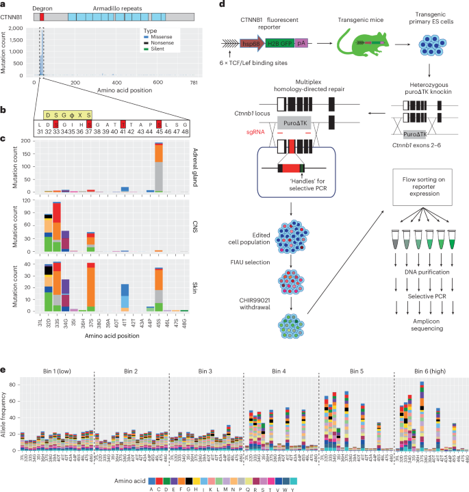Fig. 1: Tissue-specific mutation profiles at the CTNNB1 degron in human cancer.