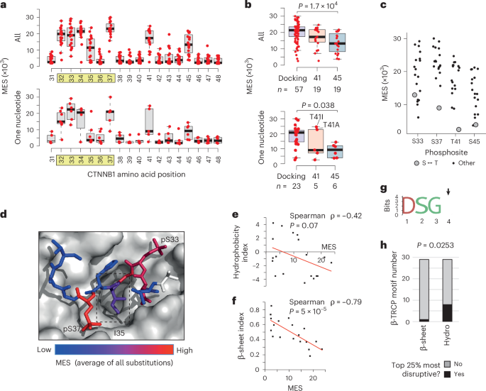Fig. 3: Genotype–phenotype correlations at the CTNNB1 mutation hotspot.