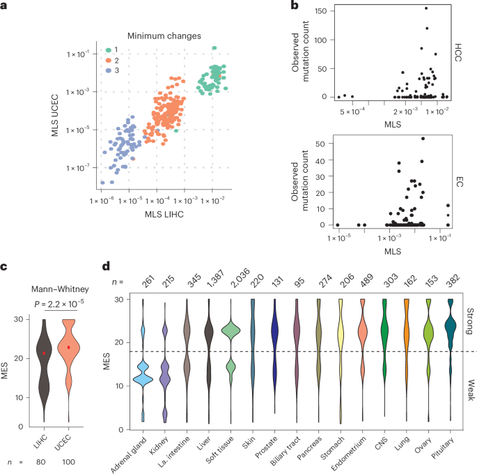 Fig. 4: Tissue-specific CTNNB1 mutation patterns are driven by selection for optimal levels of β-catenin signaling.