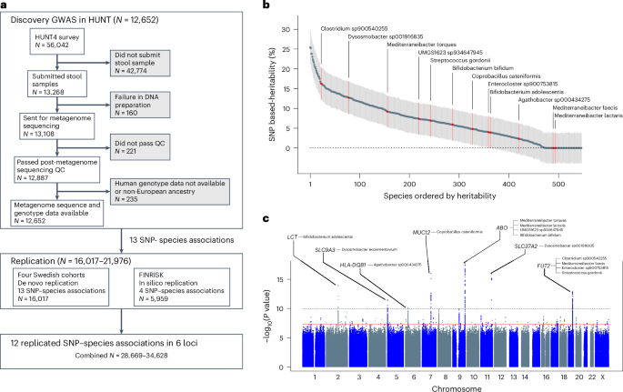 Fig. 1: GWAS and replications of gut microbiota species relative abundance.