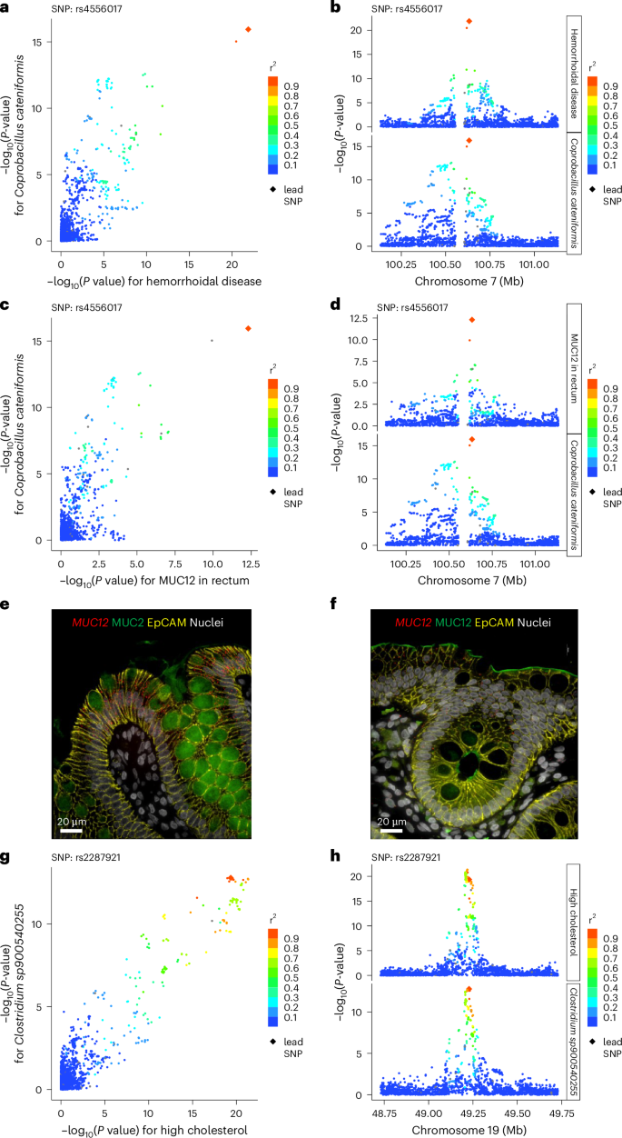 Fig. 3: Follow-up analyses of some novel genetic signals with possible implications for associated diseases.