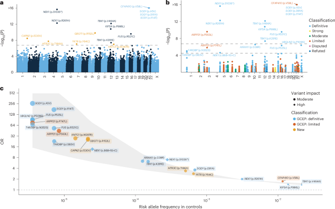 Fig. 1: Rare single-variant analyses.