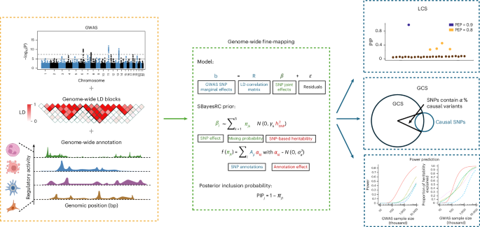 Fig. 1: Schematic overview of GWFM analysis using GBMM.