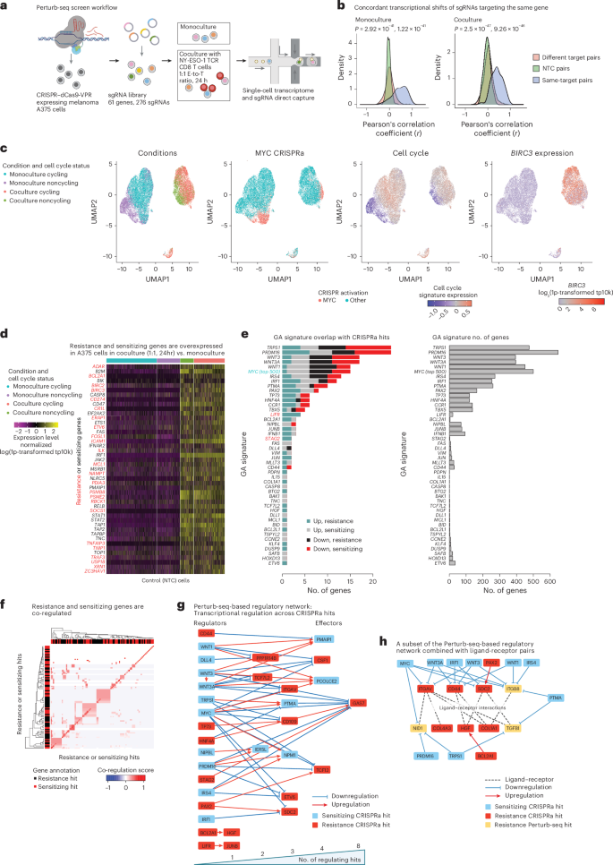 Fig. 3: Perturb-seq screen reveals convergence of hits.