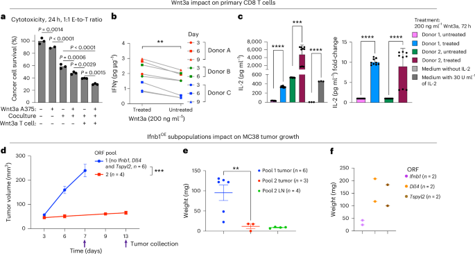 Fig. 7: Sensitizing Wnt and IFN hits show noncell autonomous effects.