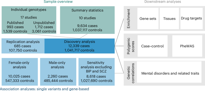 Fig. 1: Schematic overview of the GWAS of BPD.
