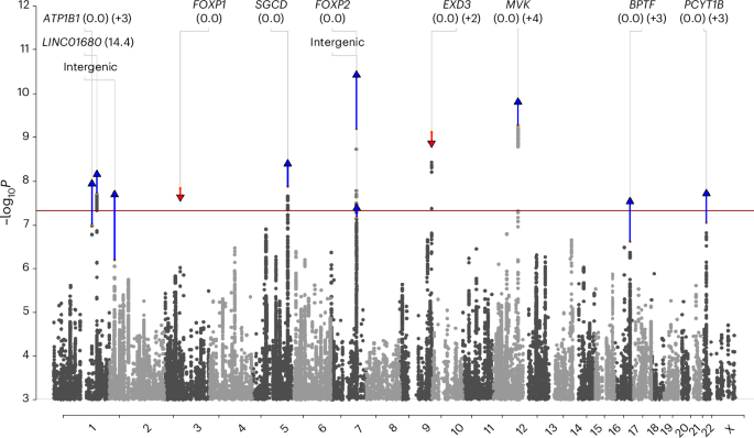 Fig. 2: Manhattan plot of the GWAS of BPD.