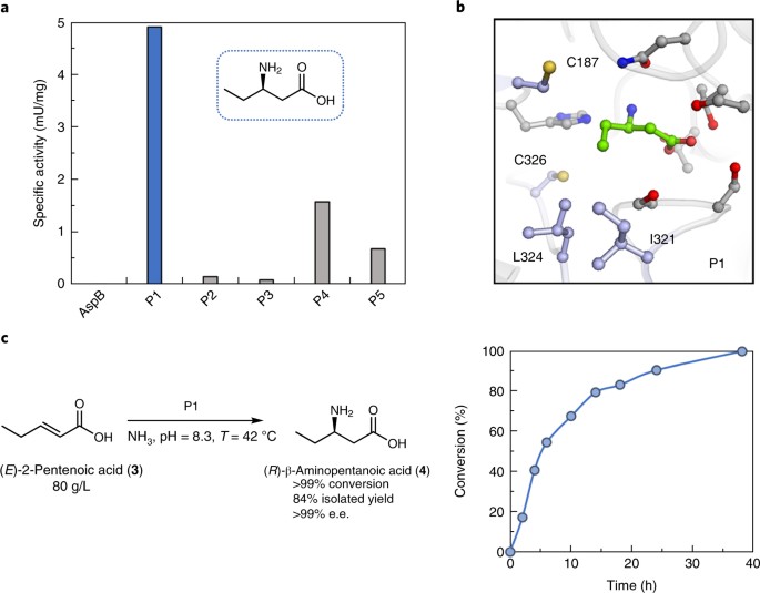 Computational redesign of enzymes for regio- and enantioselective 