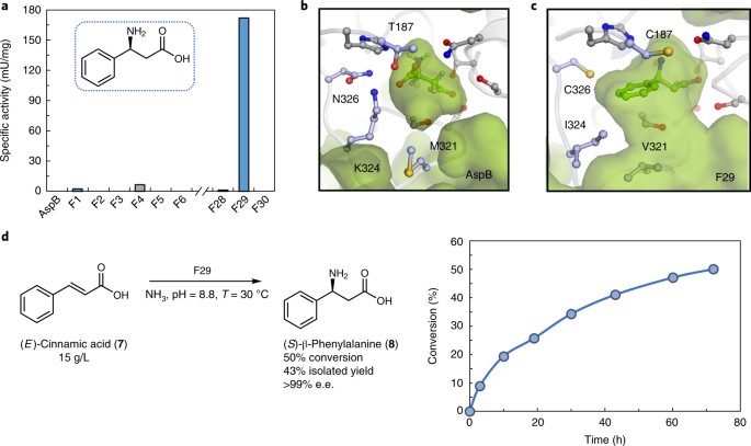 Computational redesign of enzymes for regio- and enantioselective 