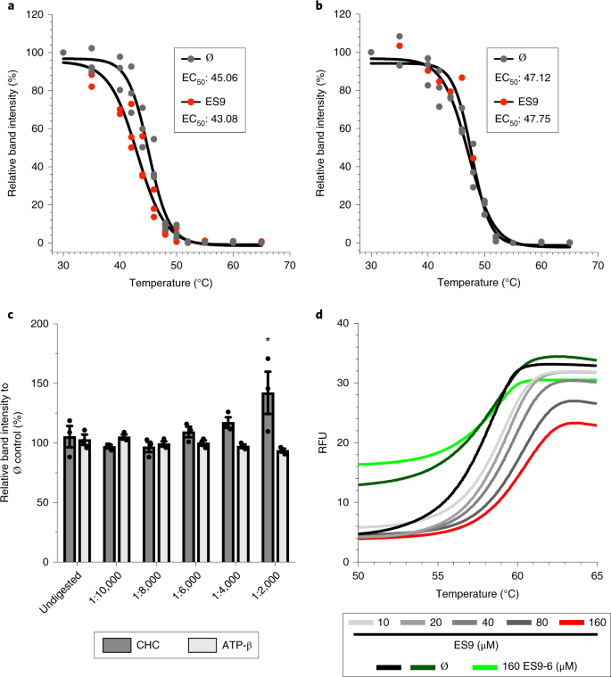 Disruption Of Endocytosis Through Chemical Inhibition Of Clathrin Heavy Chain Function Nature Chemical Biology