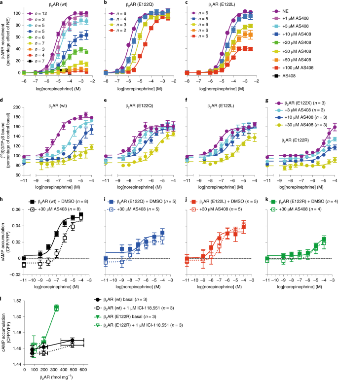 An Allosteric Modulator Binds To A Conformational Hub In The B 2 Adrenergic Receptor Nature Chemical Biology