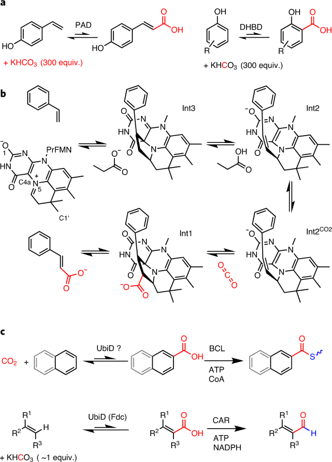 Enzymatic C H Activation Of Aromatic Compounds Through Co 2 Fixation Nature Chemical Biology