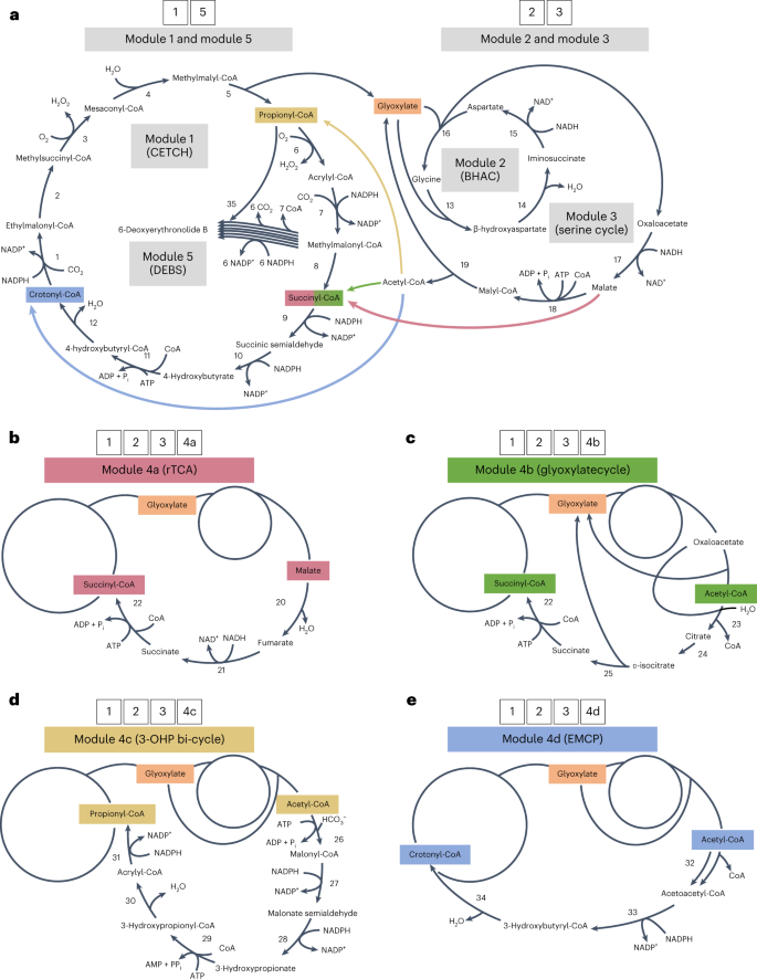 Fig. 1: Reaction modules developed in this study.