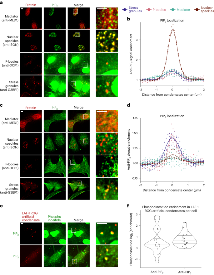 https://www.nature.com/articles/s41589-023-01474-4