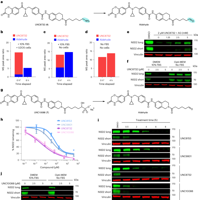 Recruitment of FBXO22 for targeted degradation of NSD2 | Nature 
