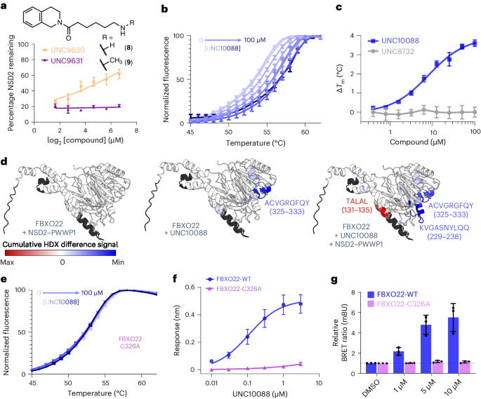 Recruitment of FBXO22 for targeted degradation of NSD2 | Nature 