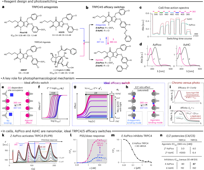 Fig. 1: Ideal efficacy photoswitches for TRPC4/5.