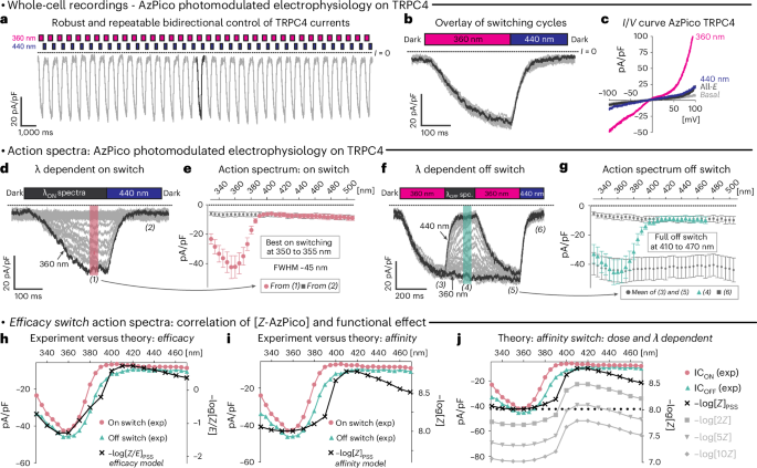 Fig. 2: AzPico-chromocontrolled electrophysiology of TRPC4.