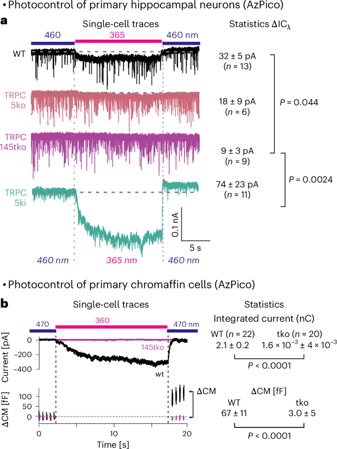 Fig. 4: AzPico (30 nM) photoswitchably evokes currents in primary neuronal and neuroendocrine cells.