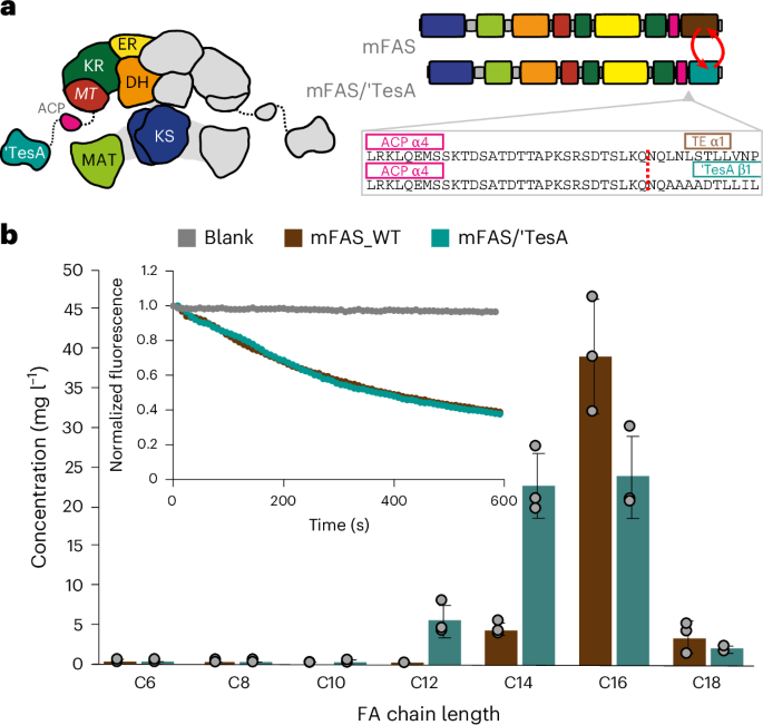 Fig. 2: Design of a generalist mFAS.