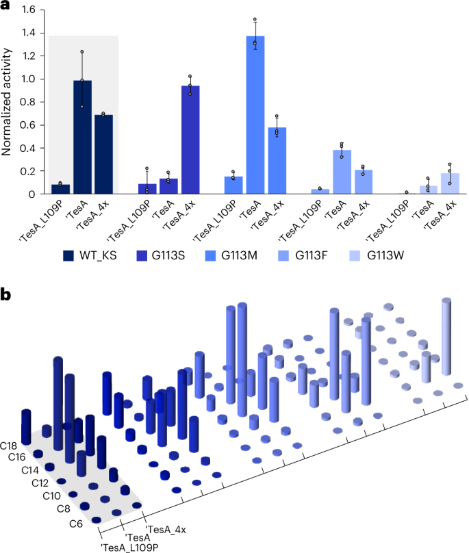 Fig. 4: In vitro analysis of 12 mFAS/‘TesA hybrids engineered in KS and ‘TesA.