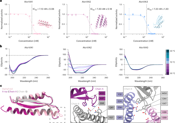 Fig. 4: AIcrVIAs are potent inhibitors and true to design.