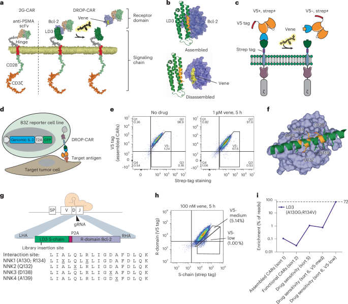Fig. 1: Schematic of the DROP-CAR, library design and screening to generate optimized LD3 variants.