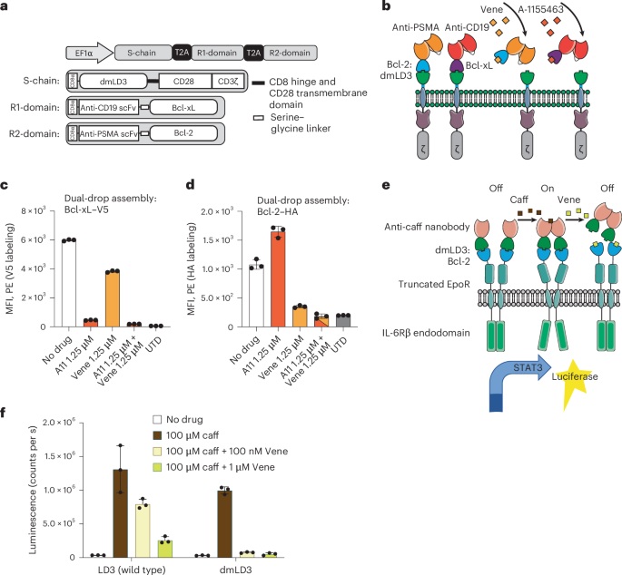 Fig. 3: Proof of concept for dual DROP-CARs and application of the optimized switch to logic-gated receptors.