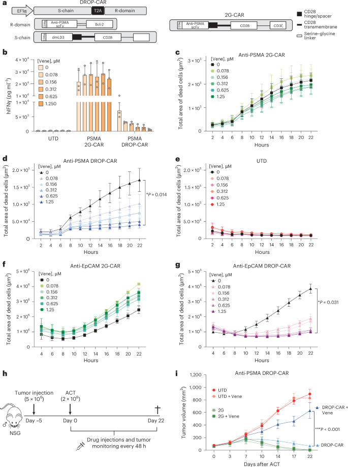 Fig. 4: In vitro and in vivo characterization of human DROP-CAR T cells.