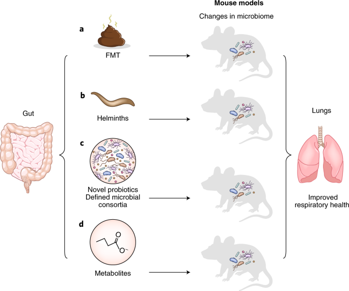 helminth therapy and microbiome