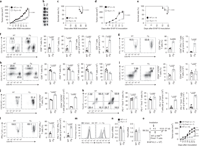 Nf Kb Inducing Kinase Maintains T Cell Metabolic Fitness In Antitumor Immunity Nature Immunology