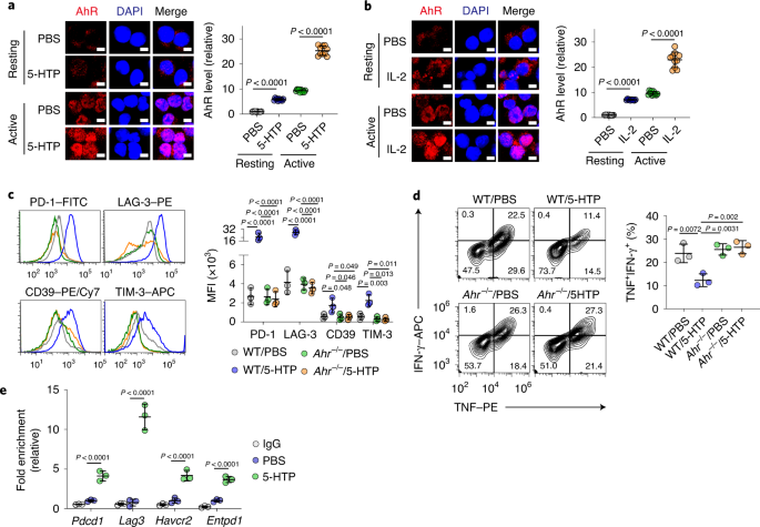 Il 2 Regulates Tumor Reactive Cd8 T Cell Exhaustion By Activating The Aryl Hydrocarbon Receptor Nature Immunology