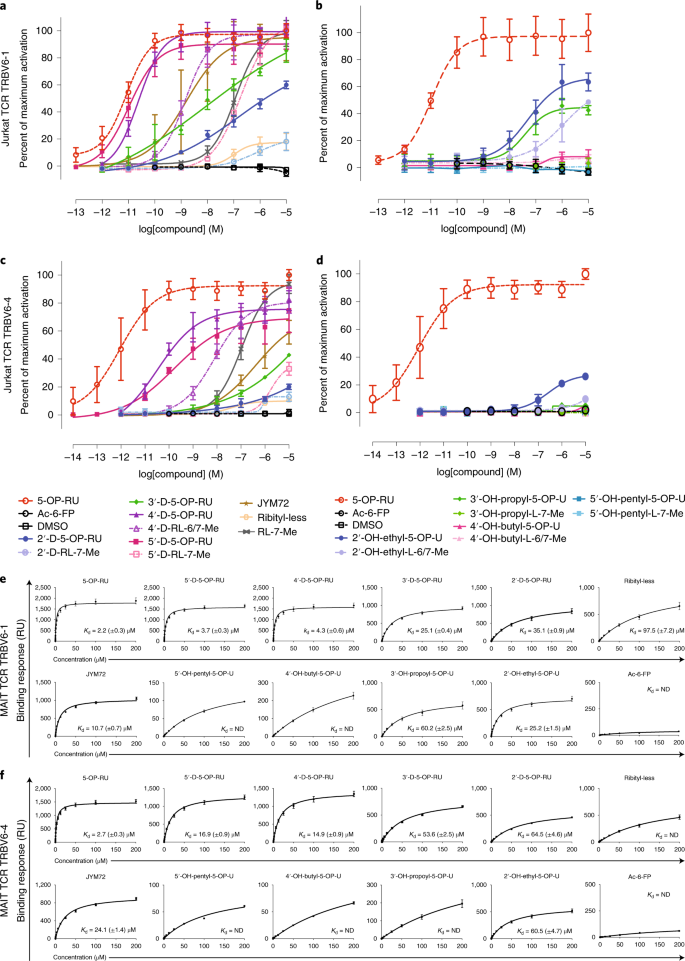 The Molecular Basis Underpinning The Potency And Specificity Of Mait Cell Antigens Nature Immunology