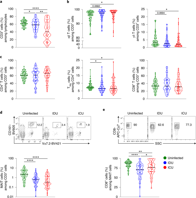 Outcome Of Sars Cov 2 Infection Is Linked To Mait Cell Activation And Cytotoxicity Nature Immunology